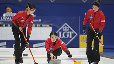 的多样化 的多样化