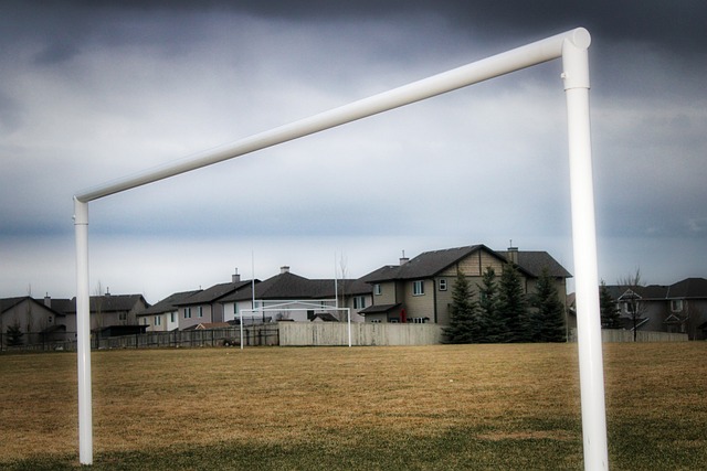 队夺得历史 队夺得历史