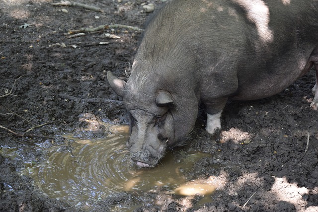 梁倒塌的事 梁倒塌的事