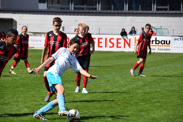 的技战术内 的技战术内